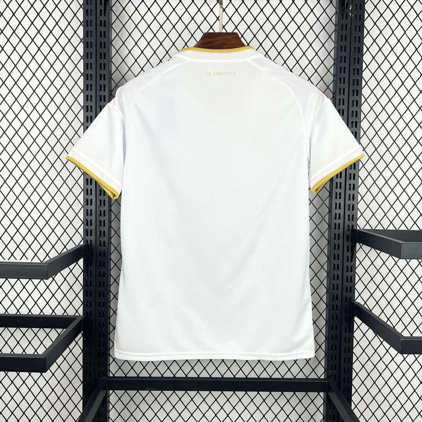 Camiseta Venezuela Visita 2026 - Versión Fan