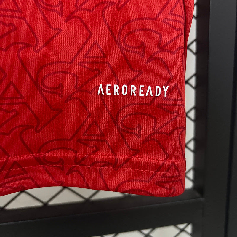 Camiseta Arsenal Local 25/26 - Versión Fan