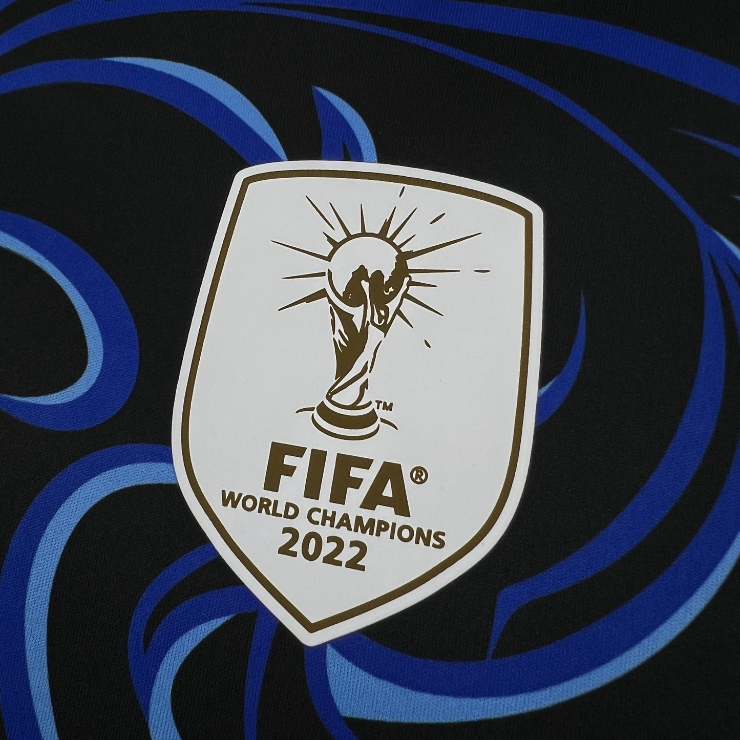 Camiseta Argentina Visita Mundial 2026 - Versión Fan