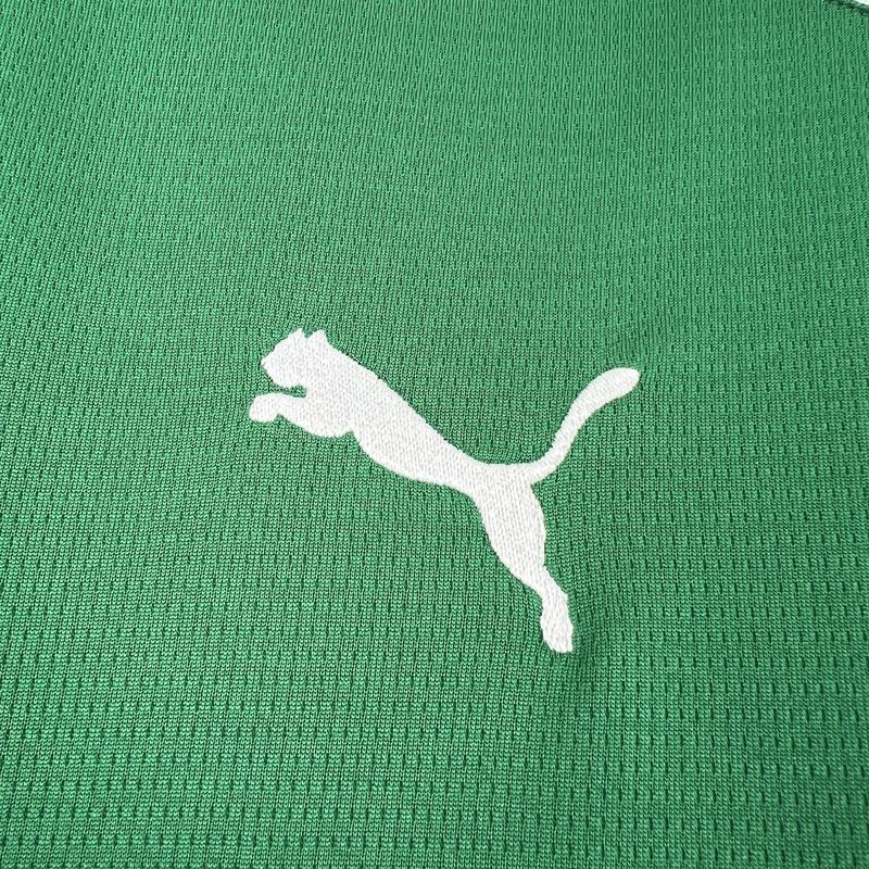 Camiseta Palmeiras Local 2026 - Versión Fan