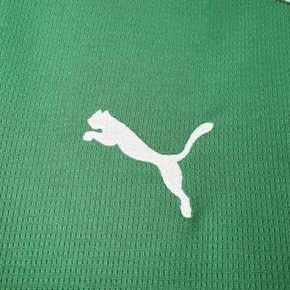 Camiseta Palmeiras Local 2026 - Versión Fan