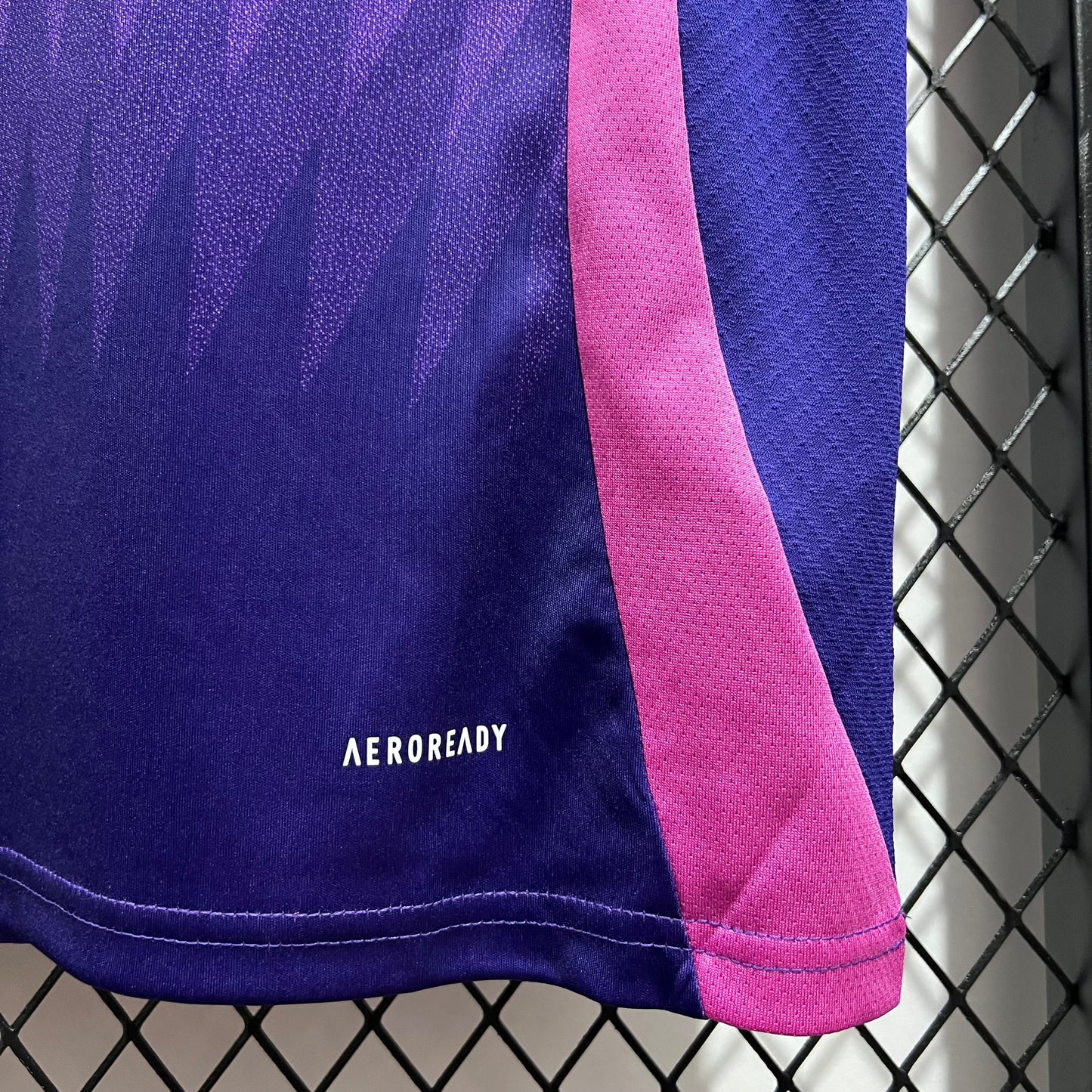 Camiseta Alemania Visita 2024 - Versión Fan