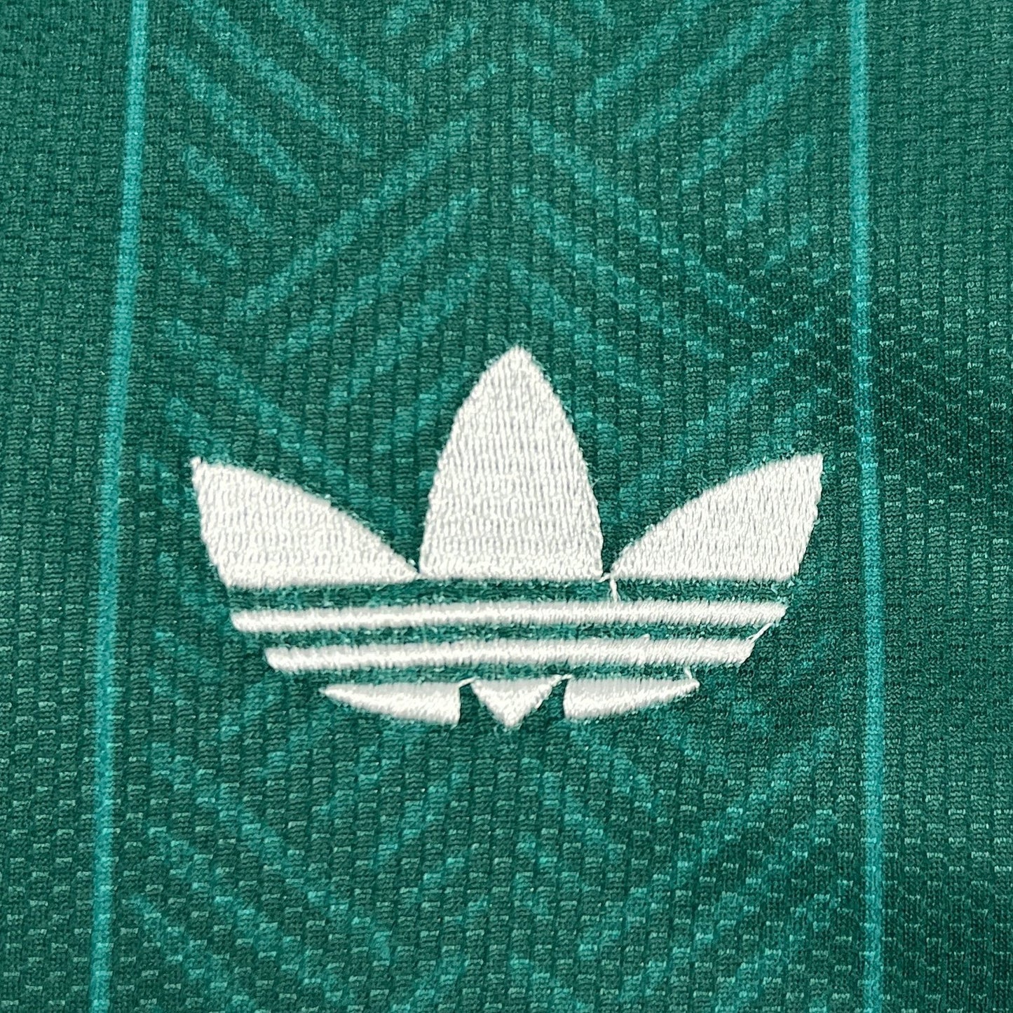 Camiseta Sudáfrica Visita Mundial 2026 - Versión Fan