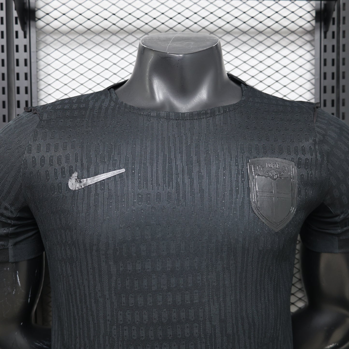 Camiseta Noruega Visita Mundial 2026 - Versión Jugador