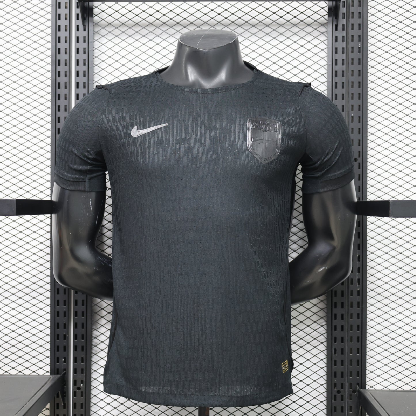 Camiseta Noruega Visita Mundial 2026 - Versión Jugador