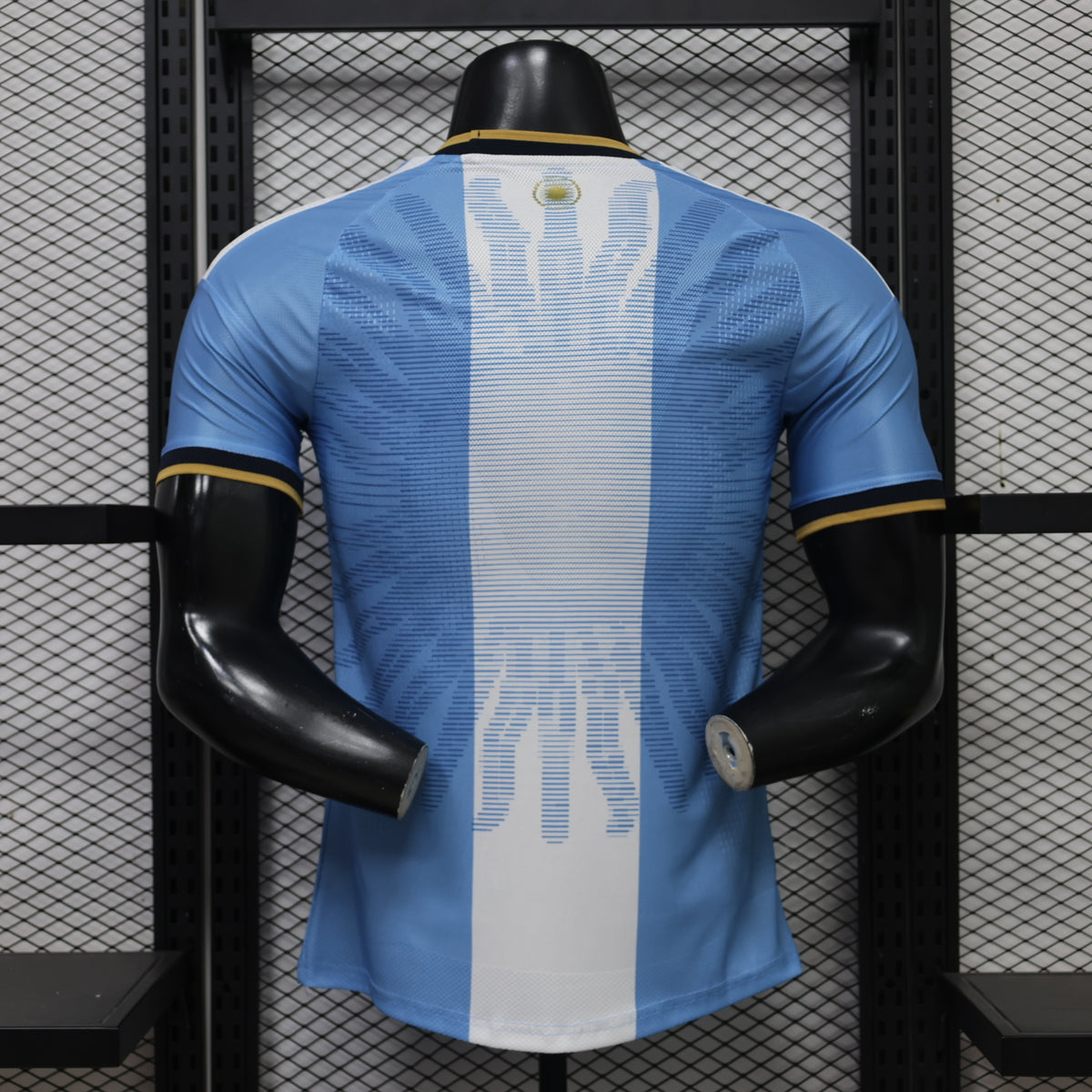 Camiseta Argentina Edición Especial Leo Messi - Versión Jugador
