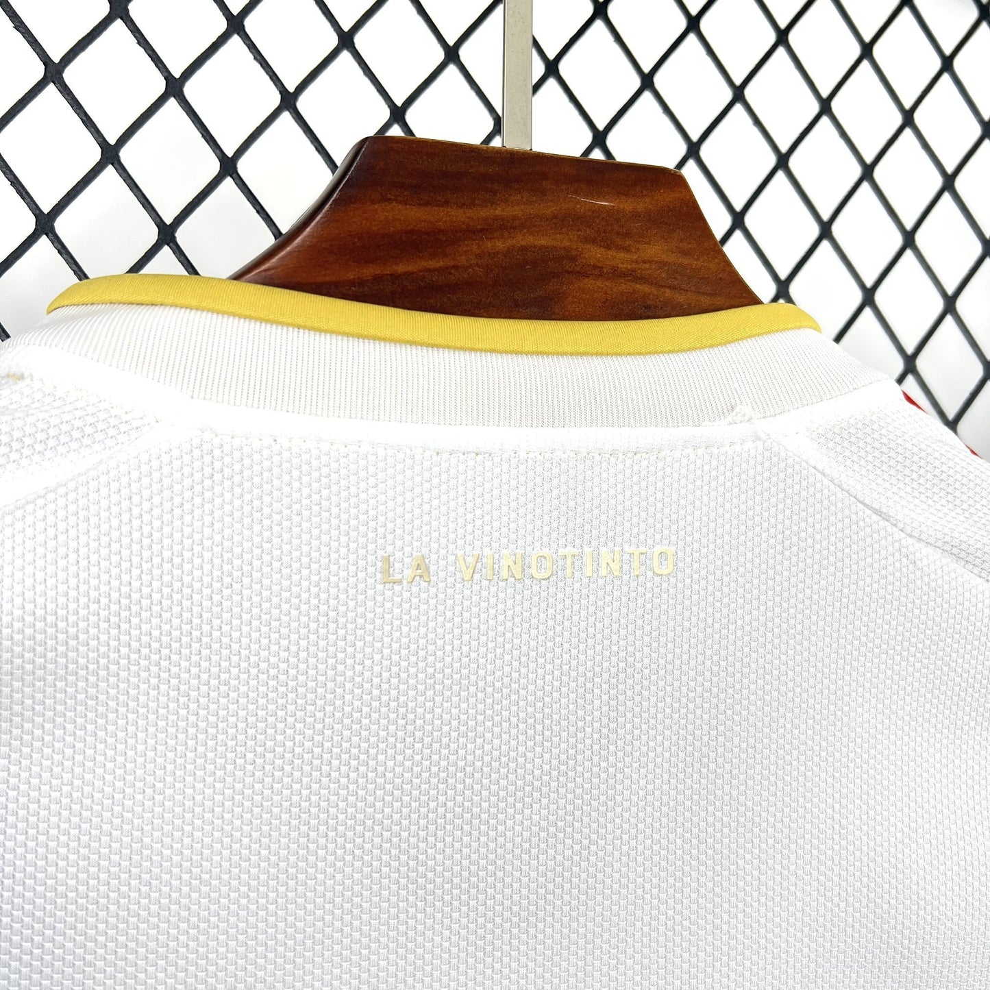 Camiseta Venezuela Visita 2026 - Versión Fan